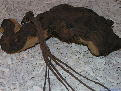 Veter imit. suede, 3mm, bruin