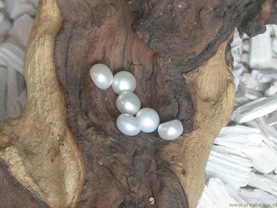 Zoetwaterparel met halfgeboord gat, 8x5mm, naturel