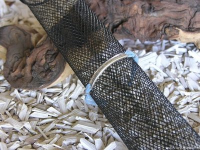 “Live the moment”, 17cm met verlengketting, lichtblauw-zilverkleur