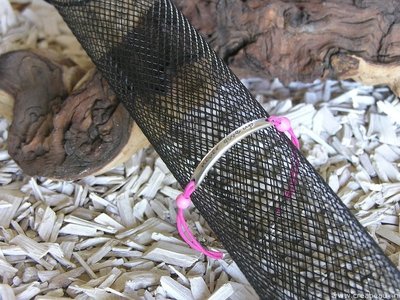 “Never give up”, 17cm met verlengketting, roze-zilverkleur