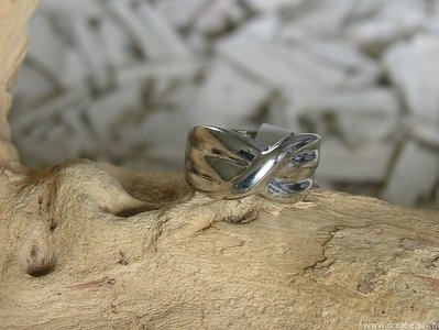 Bewerkt (17mm), 21x11mm, zilverkleur