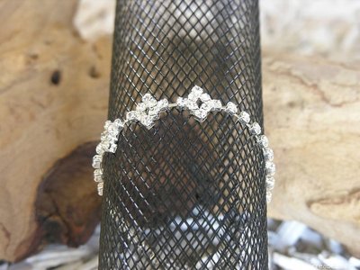 Silverfine, 17x170mm, zilverkleur (2)