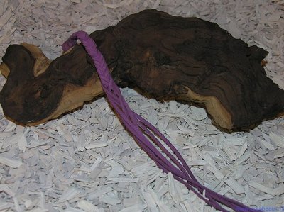 Veter imit. suede, 3mm, licht paars