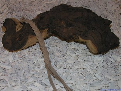 Veter imit. suede, 3mm, camel