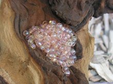 Rocailles 6/0, 4mm, licht perzik AB