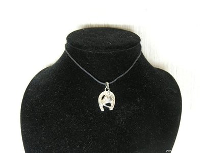 Ketting met hoefijzer, 31cm