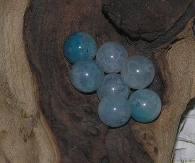 Kraal crackle, 10mm, banded dark orchid agate