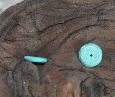 Discus, 12mm, Howelite Turquoise