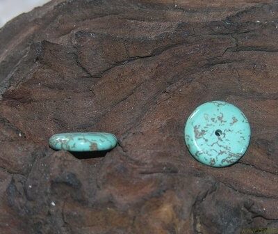 Discus, 14mm, Howelite Turquoise