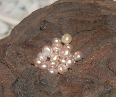 zoetwaterparel, 5-6mm, lilaroze